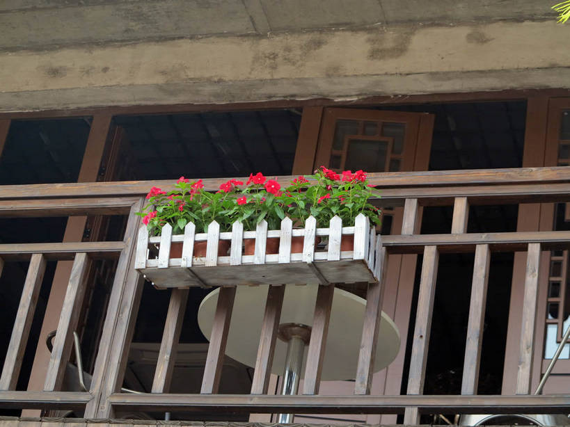 无人,家,栏杆,横图,室外,白天,仰视,旅游,度假,名胜古迹,植物,标志建筑,地标,建筑,中国,亚洲,遗迹,盛开,盆栽,房屋,屋子,围栏,盆景,花蕾,古迹,文物,娱乐,建设,古建筑,江苏,无锡,护栏,楼房,住宅,花,花瓣,花朵,鲜花,红色,绿色,自然,花苞,花蕊,享受,休闲,旅游胜地,放松,生长,成长,古文明,东亚,江苏省,中华人民共和国,华东地区,苏,无锡市,彩图,低角度拍摄,房子,shslj1,荡口古镇,鹅湖镇,锡山,锡山区