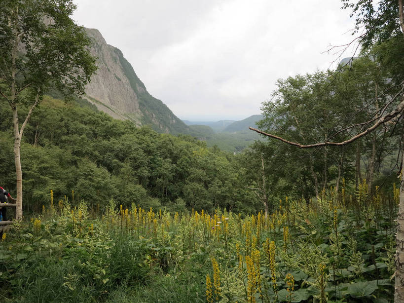 无人,横图,室外,白天,正面,旅游,度假,美景,森林,山,山脉,树林,植物,长白山,中国,亚洲,景观,山峰,乌云,云,阴天,云朵,山峦,云彩,娱乐,树,树木,绿色,天空,自然,群山,天,享受,休闲,景色,放松,生长,成长,昏暗,阴沉,自然风光,东亚,天池,吉林,吉林省,中华人民共和国,东北地区,吉,彩图,长白山脉,shslj1,长白山瀑布,通天河