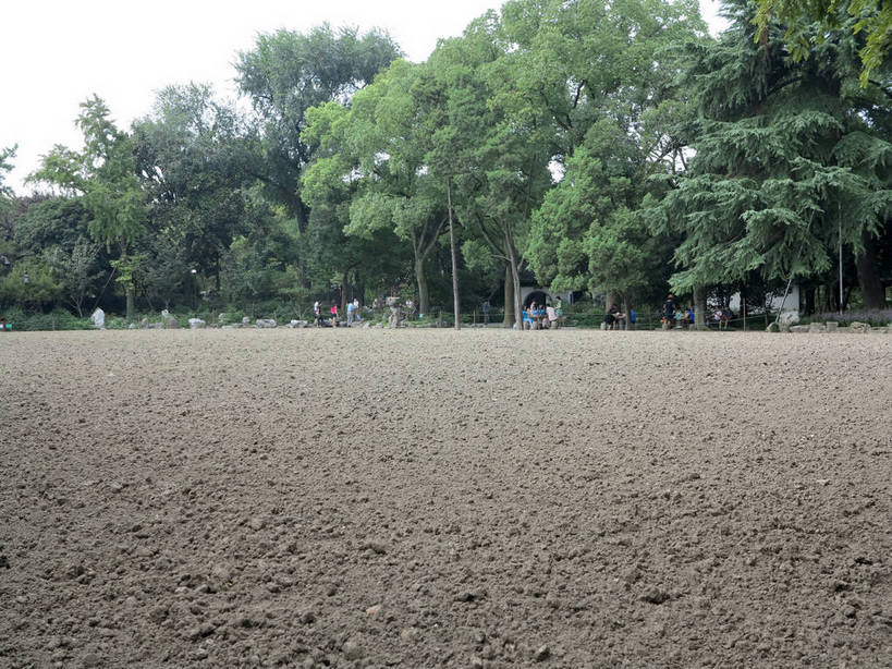 无人,横图,室外,白天,正面,旅游,度假,草地,草坪,美景,树林,植物,道路,路,上海,中国,亚洲,景观,小路,交通,娱乐,草,树,树木,绿色,天空,自然,天,享受,休闲,景色,放松,生长,成长,申,自然风光,东亚,上海市,嘉定区,古猗园,中华人民共和国,沪,华东地区,彩图,古漪园,南翔,南翔镇,shslj1