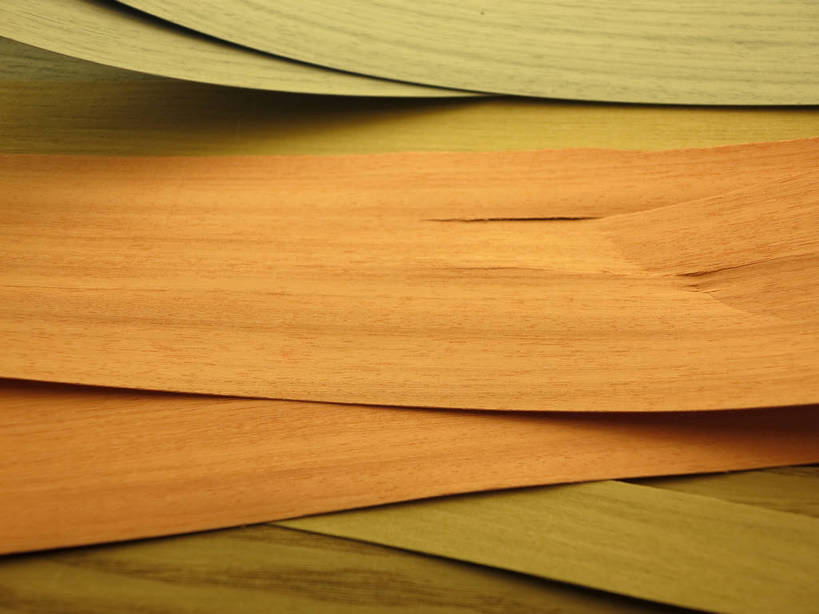 无人,横图,室内,特写,白天,正面,静物,上海,中国,亚洲,纹路,纹理,墙,褐色,墙壁,墙面,绿色,上海世博馆,世博馆,上海世博会,世博,世博会,申,东亚,世博园,意大利馆,上海市,肌理,中华人民共和国,沪,华东地区,彩图,意大利国家馆,shslj1