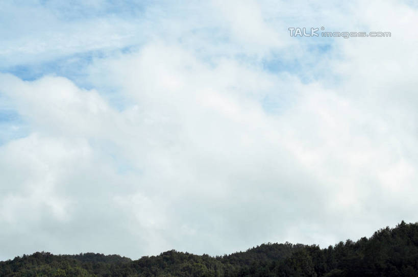 无人,横图,室外,白天,仰视,旅游,度假,美景,森林,山,山脉,树林,植物,韩国,亚洲,阴影,光线,影子,景观,山峰,云,云朵,山峦,云彩,娱乐,树,树木,蓝色,绿色,白云,蓝天,天空,阳光,自然,群山,天,享受,休闲,景色,放松,生长,晴朗,成长,自然风光,东亚,大韩民国,广域市,大田,大田市,大田广域市,忠清北道,晴空,彩图,低角度拍摄,道,shslj1,南朝鲜,南韩