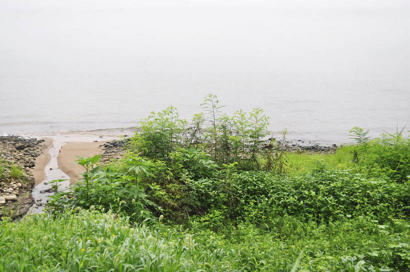 无人,横图,室外,白天,正面,旅游,度假,草地,草坪,岛屿,河流,美景,水,植物,春川,南怡岛,韩国,亚洲,波纹,岛,河水,景观,水流,涟漪,娱乐,草,树,树木,绿色,倒影,水纹,天空,自然,波浪,天,享受,休闲,景色,放松,生长,成长,倒映,自然风光,东亚,水晕,大韩民国,江原道,春川市,反照,列岛,群岛,诸岛,彩图,道,shslj1