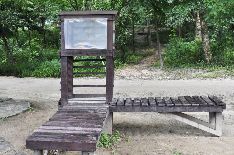 无人,横图,室外,白天,正面,旅游,度假,美景,森林,树林,植物,道路,路,春川,南怡岛,韩国,亚洲,环保,木材,景观,小路,交通,娱乐,木柴,树,树木,绿色,自然,享受,休闲,景色,放松,木料,乡间小路,生长,成长,回收,资源,回收站,自然风光,利用,东亚,循环,大韩民国,江原道,春川市,彩图,道,shslj1