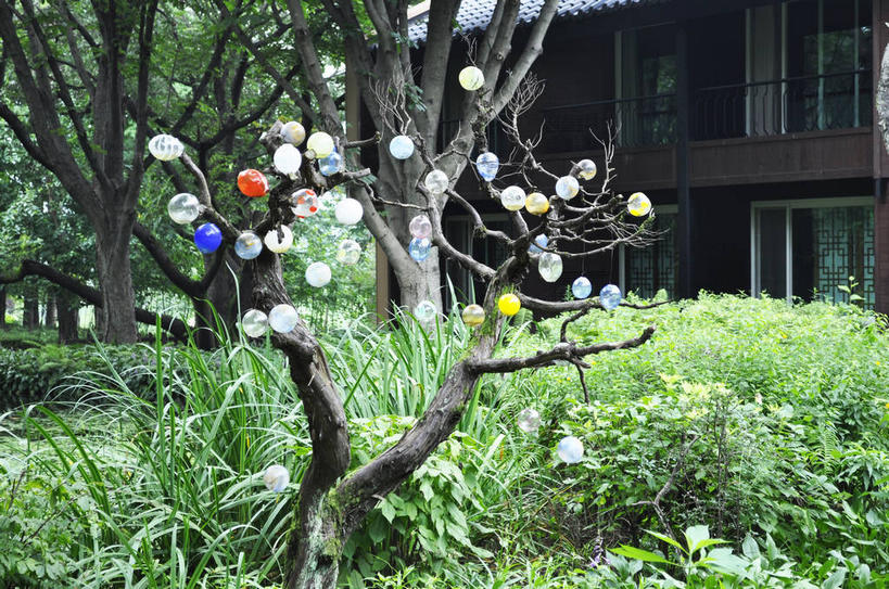 无人,餐厅,家,横图,室外,白天,正面,旅游,度假,草地,草坪,美景,植物,照明,春川,南怡岛,韩国,亚洲,许多,灯泡,房屋,屋子,景观,很多,娱乐,楼房,住宅,灯,草,树,树木,绿色,自然,灯具,享受,休闲,景色,放松,白炽灯,生长,成长,照亮,自然风光,东亚,照明工具,白炽灯泡,大韩民国,江原道,春川市,彩图,房子,餐馆,饭店,饭馆,道,shslj1