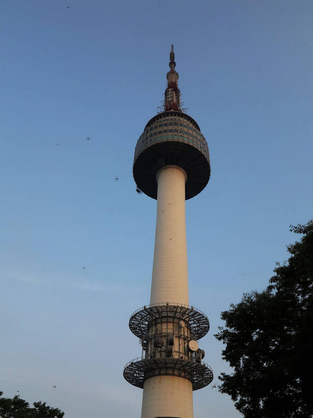 无人,公园,竖图,室外,白天,仰视,旅游,度假,美景,植物,城市风光,标志建筑,城市,地标,建筑,首尔,汉城,韩国,亚洲,一座,阴影,光线,影子,景观,云,云朵,塔,首都,云彩,娱乐,建设,树,树木,蓝色,绿色,白云,蓝天,天空,阳光,自然,天,享受,休闲,景色,放松,生长,晴朗,成长,电视塔,东亚,南山,大韩民国,首尔市,首尔特别市,特别市,南山公园,N首尔塔,首尔塔,汉城塔,龙山区,晴空,彩图,低角度拍摄,中区,shslj1,韩国首尔南山公园