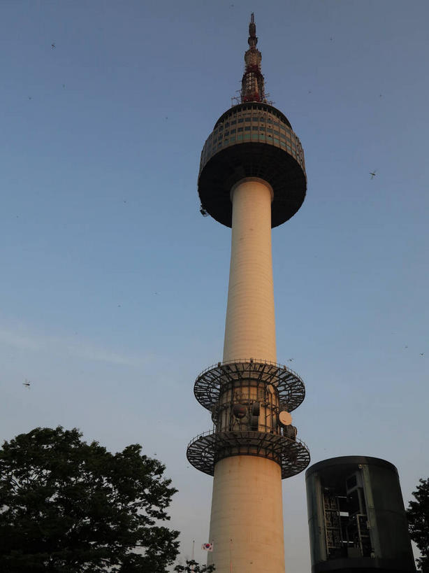 无人,公园,竖图,室外,白天,仰视,旅游,度假,美景,植物,城市风光,标志建筑,城市,地标,建筑,首尔,汉城,韩国,亚洲,一座,阴影,光线,影子,景观,云,云朵,塔,首都,云彩,娱乐,建设,树,树木,蓝色,绿色,白云,蓝天,天空,阳光,自然,天,享受,休闲,景色,放松,生长,晴朗,成长,电视塔,东亚,南山,大韩民国,首尔市,首尔特别市,特别市,南山公园,N首尔塔,首尔塔,汉城塔,龙山区,晴空,彩图,低角度拍摄,中区,shslj1,韩国首尔南山公园