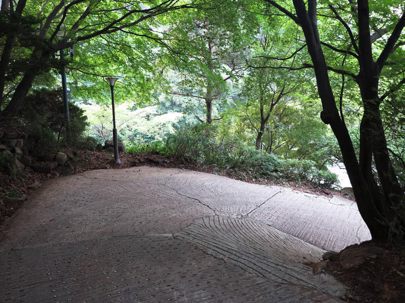 无人,横图,室外,白天,正面,度假,美景,树林,植物,城市风光,城市,道路,路,路灯,照明,首尔,汉城,韩国,亚洲,景观,小路,灯光,枝条,交通,首都,娱乐,灯,树,树木,树枝,绿色,自然,享受,休闲,景色,放松,生长,成长,照亮,照明设备,东亚,大韩民国,首尔市,首尔特别市,特别市,虬枝,枝杈,彩图,shslj1,广津区,华克山庄