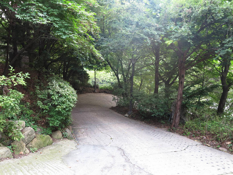 无人,横图,室外,白天,正面,度假,美景,树林,植物,城市风光,城市,道路,路,路灯,照明,首尔,汉城,韩国,亚洲,景观,小路,灯光,枝条,交通,首都,娱乐,灯,树,树木,树枝,绿色,自然,享受,休闲,景色,放松,生长,成长,照亮,照明设备,东亚,大韩民国,首尔市,首尔特别市,特别市,虬枝,枝杈,彩图,shslj1,广津区,华克山庄