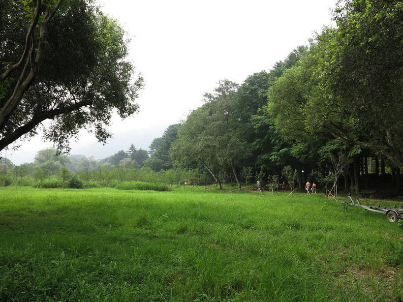 无人,横图,室外,白天,正面,旅游,度假,草地,草坪,美景,树林,植物,春川,南怡岛,韩国,亚洲,景观,娱乐,草,树,树木,绿色,天空,自然,天,享受,休闲,景色,放松,生长,成长,自然风光,东亚,大韩民国,江原道,春川市,彩图,道,shslj1