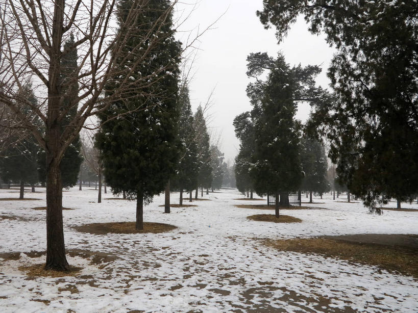 无人,天坛,横图,室外,白天,正面,旅游,度假,美景,雪,植物,雾,大雪,道路,路,北京,中国,亚洲,节日,朦胧,模糊,积雪,景观,乌云,雪景,云,阴天,云朵,冬季,冬天,小路,交通,首都,云彩,文化,娱乐,树,树木,绿色,天空,自然,天,祈祷,祈福,享受,休闲,健康,景色,放松,寒冷,许愿,宗教,信仰,生长,成长,纪念,祈求,迷雾,昏暗,阴沉,自然风光,祭天,东亚,中华人民共和国,东城区,北京市,京,北平,华北地区,天坛公园,严寒,北京天坛,平安,大雾,彩图,永定门内大街,东城,shslj1