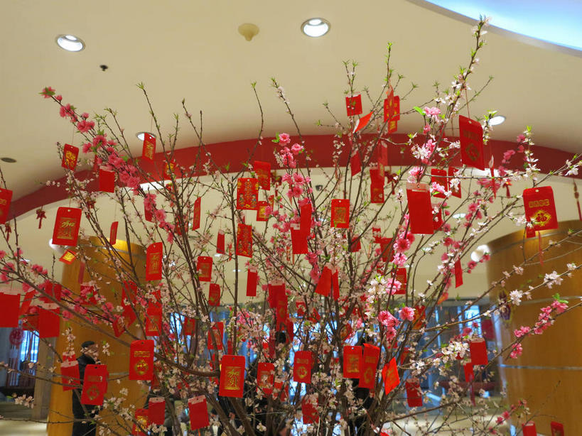 无人,宾馆,栏杆,横图,室内,白天,仰视,植物,酒店,照明,北京,中国,亚洲,许多,吊挂,悬挂,风俗,民俗,壁灯,盆栽,柱子,墙,围栏,灯光,盆景,首都,很多,挂,护栏,墙壁,墙面,灯,树,树木,红色,绿色,自然,灯具,恭喜,红包,生长,成长,酒家,旅社,照亮,照明设备,祝贺,祝愿,东亚,中华人民共和国,东城区,北京市,京,北平,华北地区,民风,习气,习惯,红封包,盆景树,盆栽树,彩图,低角度拍摄,客店,客栈,旅店,旅馆,商旅,东城,shslj1,北京新侨饭店,崇文门西大街