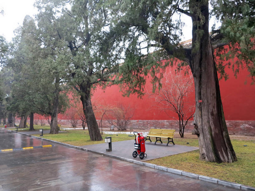 无人,横图,室外,白天,正面,旅游,度假,草地,草坪,名胜古迹,植物,标志建筑,地标,建筑,椅子,北京,天安门广场,中国,亚洲,遗迹,木椅,墙,云,云朵,地面,首都,云彩,古迹,文物,娱乐,建设,古建筑,太庙,墙壁,墙面,草,树,树木,红色,蓝色,绿色,白云,蓝天,天空,自然,天,享受,休闲,旅游胜地,放松,生长,潮湿,晴朗,成长,古文明,东亚,中华人民共和国,东城区,北京市,京,北平,华北地区,湿润,晴空,彩图,北京太庙,劳动人民文化宫,东城,shslj1