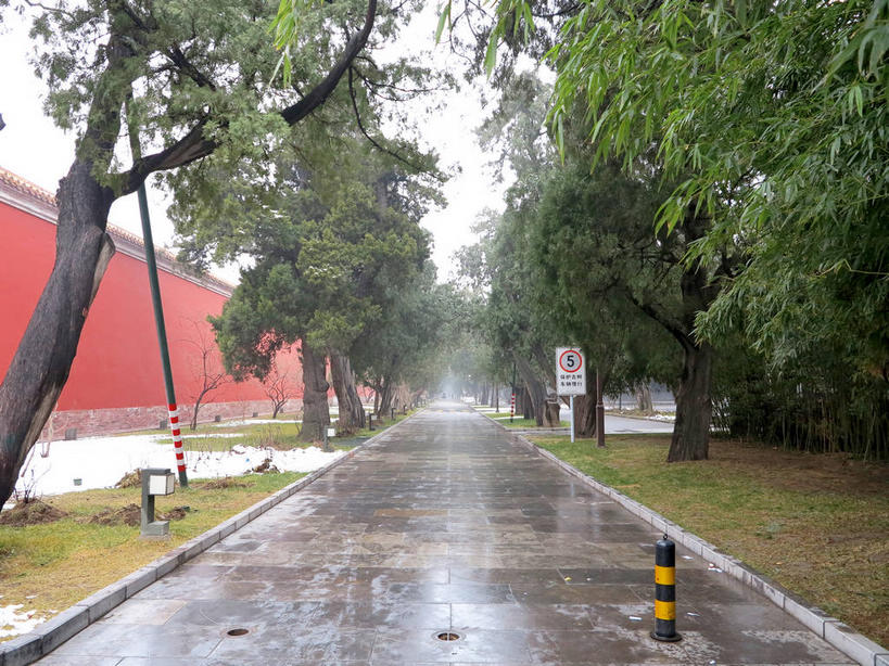 无人,横图,室外,白天,正面,旅游,度假,草地,草坪,名胜古迹,植物,标志建筑,道路,地标,建筑,路,北京,天安门广场,中国,亚洲,遗迹,柱子,墙,小路,交通,首都,古迹,文物,娱乐,建设,古建筑,太庙,墙壁,墙面,草,树,树木,红色,绿色,天空,自然,天,享受,休闲,旅游胜地,放松,生长,潮湿,成长,古文明,东亚,中华人民共和国,东城区,北京市,京,北平,华北地区,湿润,彩图,北京太庙,劳动人民文化宫,东城,shslj1