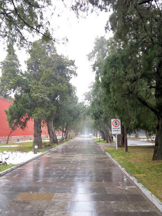 无人,竖图,室外,白天,正面,旅游,度假,草地,草坪,名胜古迹,植物,标志建筑,道路,地标,建筑,路,北京,天安门广场,中国,亚洲,遗迹,柱子,墙,小路,交通,首都,古迹,文物,娱乐,建设,古建筑,太庙,墙壁,墙面,草,树,树木,红色,绿色,天空,自然,天,享受,休闲,旅游胜地,放松,生长,潮湿,成长,古文明,东亚,中华人民共和国,东城区,北京市,京,北平,华北地区,湿润,彩图,北京太庙,劳动人民文化宫,东城,shslj1