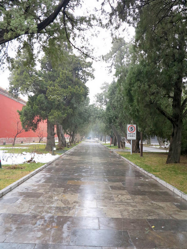 无人,竖图,室外,白天,正面,旅游,度假,草地,草坪,名胜古迹,植物,标志建筑,道路,地标,建筑,路,北京,天安门广场,中国,亚洲,遗迹,柱子,墙,小路,交通,首都,古迹,文物,娱乐,建设,古建筑,太庙,墙壁,墙面,草,树,树木,红色,绿色,天空,自然,天,享受,休闲,旅游胜地,放松,生长,潮湿,成长,古文明,东亚,中华人民共和国,东城区,北京市,京,北平,华北地区,湿润,彩图,北京太庙,劳动人民文化宫,东城,shslj1