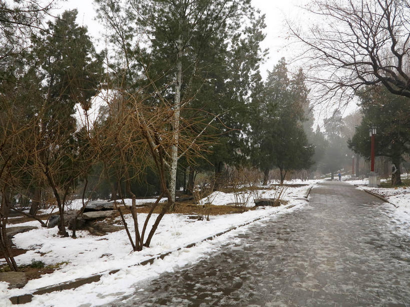 无人,公园,横图,室外,白天,正面,旅游,度假,美景,雪,植物,大雪,道路,路,北京,中国,亚洲,积雪,景观,乌云,雪景,云,阴天,云朵,冬季,冬天,小路,地面,交通,首都,云彩,娱乐,景山公园,树,树木,黄色,绿色,天空,自然,天,享受,休闲,景色,放松,寒冷,生长,成长,昏暗,阴沉,自然风光,东亚,中华人民共和国,北京市,京,北平,华北地区,西城区,严寒,彩图,煤山,shslj1