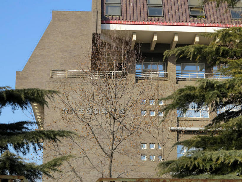 无人,学校,教学楼,横图,室外,白天,仰视,旅游,度假,树林,植物,窗户,标志建筑,地标,建筑,松树,北京,中国,亚洲,阴影,光线,影子,墙,屋顶,首都,顶棚,娱乐,建设,校园,玻璃窗,墙壁,墙面,树,树木,蓝色,绿色,蓝天,天空,阳光,自然,天,享受,休闲,教室,旅游胜地,放松,生长,晴朗,成长,坚定,东亚,海淀区,万里无云,中华人民共和国,北京市,京,北平,华北地区,长寿,贞洁,晴空,晴空万里,彩图,低角度拍摄,教学大楼,北大,北京大学,京师大学堂,颐和园路,shslj1,金光生命科学大楼