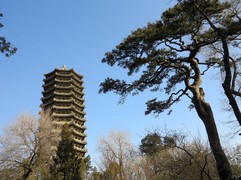 无人,横图,室外,白天,仰视,旅游,度假,植物,标志建筑,地标,建筑,北京,中国,亚洲,阴影,光线,瓦片,影子,屋檐,塔,首都,娱乐,建设,檐,树,树木,蓝色,绿色,蓝天,天空,阳光,自然,人工湖,天,享受,休闲,旅游胜地,放松,生长,晴朗,成长,东亚,海淀区,万里无云,中华人民共和国,北京市,京,北平,华北地区,晴空,晴空万里,彩图,低角度拍摄,北大,北京大学,京师大学堂,颐和园路,未名湖,飞檐,shslj1,博雅塔,一塔湖图