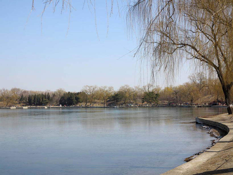 无人,公园,横图,室外,白天,正面,旅游,度假,湖,湖泊,美景,树林,水,植物,北京,圆明园,中国,亚洲,阴影,光线,影子,湖面,景观,水流,水面,首都,娱乐,树,树木,蓝色,绿色,倒影,蓝天,天空,阳光,自然,湖水,天,享受,休闲,景色,放松,生长,晴朗,成长,倒映,自然风光,东亚,海淀区,万里无云,中华人民共和国,北京市,京,北平,华北地区,反照,晴空,晴空万里,彩图,圆明园遗址,圆明园遗址公园,shslj1,天心水面