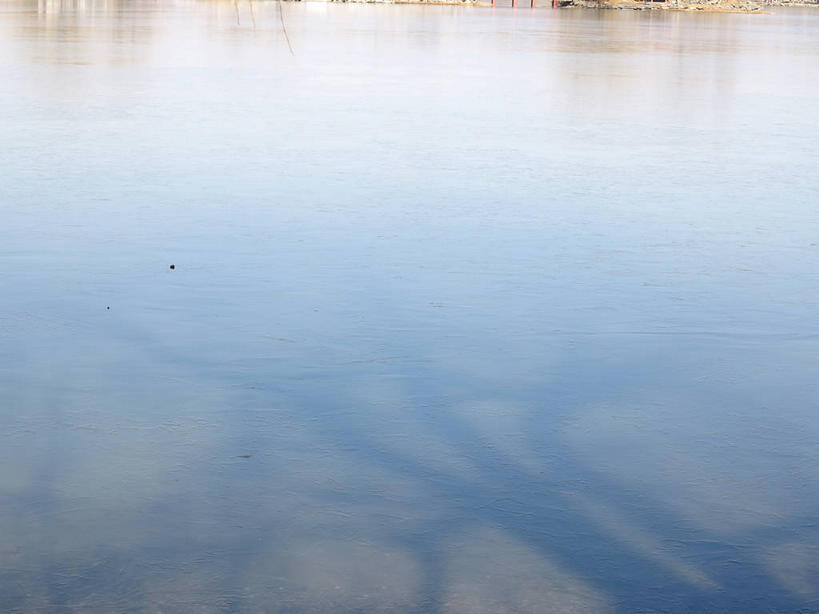 无人,公园,横图,俯视,室外,白天,旅游,度假,湖,湖泊,美景,水,植物,北京,圆明园,中国,亚洲,阴影,光线,影子,湖面,景观,水流,水面,首都,娱乐,树,树木,绿色,倒影,阳光,自然,湖水,享受,休闲,景色,放松,生长,成长,倒映,自然风光,东亚,海淀区,中华人民共和国,北京市,京,北平,华北地区,反照,彩图,高角度拍摄,圆明园遗址,圆明园遗址公园,shslj1,天心水面