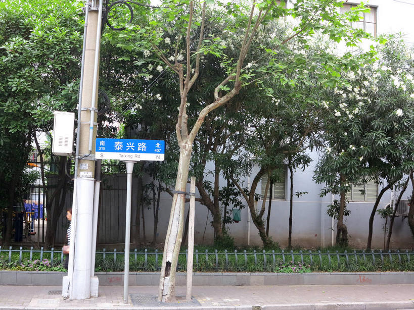 无人,栏杆,横图,室外,白天,正面,度假,美景,植物,城市风光,城市,道路,路,指示牌,公路,上海,中国,亚洲,电力,标志,电线,电线杆,路标,文字,线,字符,景观,围栏,电能,交通,线路,娱乐,标识,护栏,路牌,树,树木,蓝色,绿色,自然,享受,休闲,汉字,景色,放松,生长,成长,电,电源,申,中文,能量,东亚,静安区,上海市,中华人民共和国,沪,华东地区,国文,华文,马路,彩图,shslj1,泰兴路