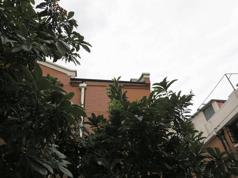 无人,家,横图,室外,白天,仰视,旅游,度假,植物,标志建筑,地标,建筑,上海,中国,亚洲,房屋,墙,屋子,公寓,棕色,娱乐,建设,洋房,楼房,墙壁,墙面,住宅,树,树木,绿色,天空,自然,天,享受,休闲,旅游胜地,放松,生长,成长,申,故居,卢湾区,东亚,静安区,延安中路,上海市,四明村,中华人民共和国,沪,华东地区,彩图,低角度拍摄,房子,南昌路,四明邨,shslj1,徐志摩旧居