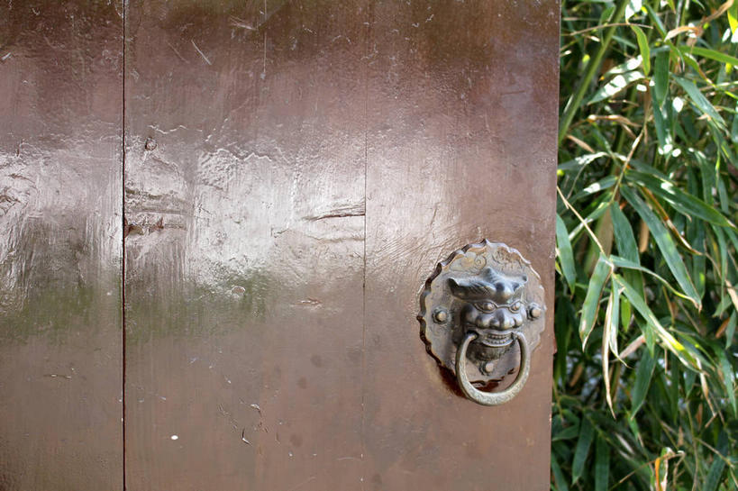 无人,横图,室外,特写,白天,正面,植物,门,阴影,光线,影子,枝条,门环,树,树木,树枝,一个,绿色,阳光,自然,门框,生长,单个,成长,虬枝,枝杈,彩图,辅首衔环,门饰,铺首,shslj1