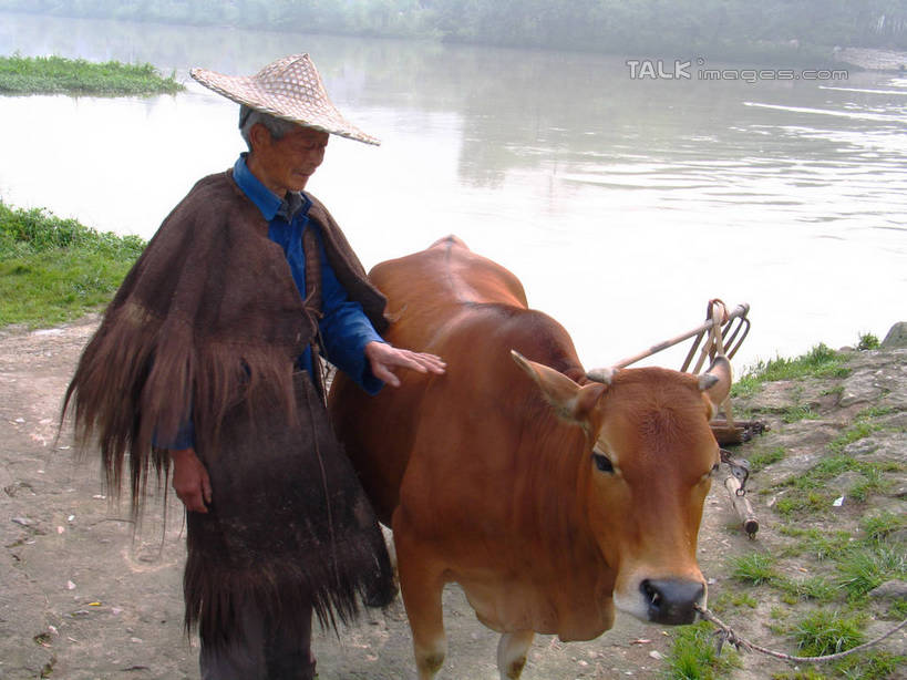 东方人,一个人,农民,站,摸,横图,室外,白天,正面,草地,湖,湖泊,美景,水,植物,牛,帽子,中国,亚洲,仅一个男性,仅一个人,抚摸,波纹,服装,湖面,景观,水流,水面,涟漪,注视,休闲装,黄种人,浙江,斗笠,草,浙江省,一只,衣服,绿色,倒影,水纹,自然,动物,波浪,湖水,低头,观察,看,站着,仅一个老年男性,休闲,休闲服,遮阳,家畜,景色,服饰,牲畜,观看,察看,倒映,关注,自然风光,东亚,蓑衣,中华人民共和国,华东地区,水晕,浙,垂头,反照,笠帽,老年男性,男人,男性,亚洲人,佃农,农场主,农夫,农工,乡下人,小农,庄稼人,触摸,接触,站立,半身,彩图,编结帽,箬笠,蔽雨,shtjw1