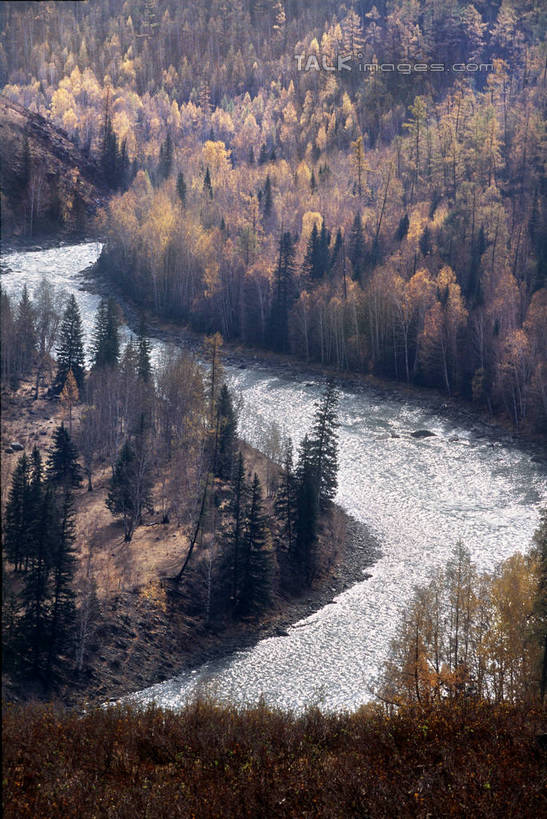 无人,竖图,俯视,室外,白天,旅游,度假,河流,美景,森林,树林,水,植物,中国,亚洲,阴影,曲折,弯曲,光线,影子,河水,景观,水流,娱乐,树,树木,绿色,阳光,自然,享受,休闲,景色,放松,蜿蜒,生长,成长,月亮湾,自然风光,东亚,喀纳斯湖,新疆,布尔津县,中华人民共和国,新疆维吾尔自治区,西北地区,彩图,高角度拍摄,布尔津,卧龙湾,新,shtjw1
