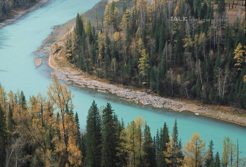 无人,横图,俯视,室外,白天,旅游,度假,河流,美景,森林,树林,水,植物,中国,亚洲,阴影,曲折,弯曲,光线,影子,河水,景观,水流,娱乐,树,树木,绿色,阳光,自然,享受,休闲,景色,放松,蜿蜒,生长,成长,月亮湾,自然风光,东亚,喀纳斯湖,新疆,布尔津县,中华人民共和国,新疆维吾尔自治区,西北地区,彩图,高角度拍摄,布尔津,卧龙湾,新,shtjw1