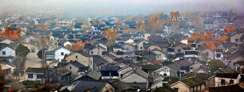 无人,家,横图,俯视,室外,白天,旅游,度假,美景,植物,窗户,城市风光,城市,建筑,中国,亚洲,阴影,光线,瓦片,影子,房屋,屋顶,屋子,景观,公寓,顶棚,瓦,娱乐,建设,洋房,楼房,玻璃窗,住宅,树,树木,绿色,阳光,自然,享受,休闲,景色,放松,建造,生长,成长,福建,东亚,屋瓦,福建省,中华人民共和国,华东地区,闽,漳州,漳州市,彩图,高角度拍摄,房子,东山县,东山岛,shtjw1