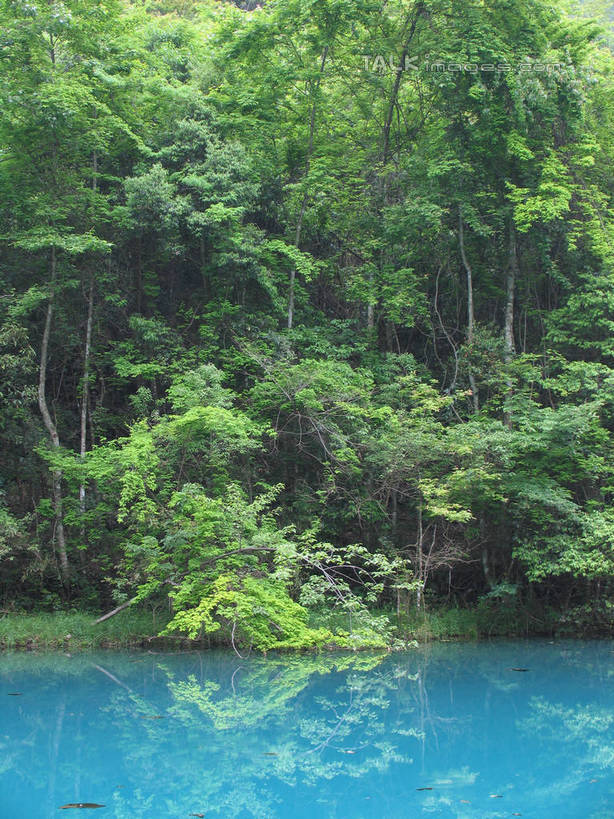 无人,竖图,室外,白天,正面,旅游,度假,湖,湖泊,美景,森林,树林,水,植物,中国,亚洲,阴影,波纹,光线,影子,湖面,景观,水流,水面,涟漪,娱乐,树,树木,绿色,倒影,水纹,阳光,自然,波浪,湖水,享受,休闲,景色,放松,生长,成长,倒映,自然风光,东亚,贵州,贵州省,中华人民共和国,水晕,黔,西南地区,反照,彩图,shtjw1