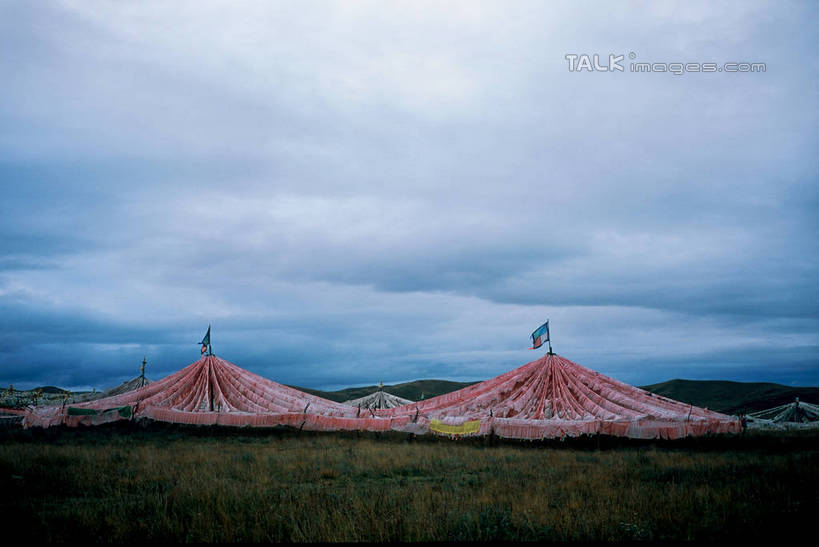 无人,横图,室外,白天,正面,旅游,度假,草地,草坪,美景,植物,阴影,节日,光线,影子,景观,云,云朵,云彩,文化,娱乐,经幡,草,蓝色,绿色,白云,蓝天,天空,阳光,自然,天,祈祷,享受,休闲,健康,景色,放松,许愿,宗教,信仰,晴朗,纪念,祈求,自然风光,风马旗,平安,晴空,彩图,shtjw1