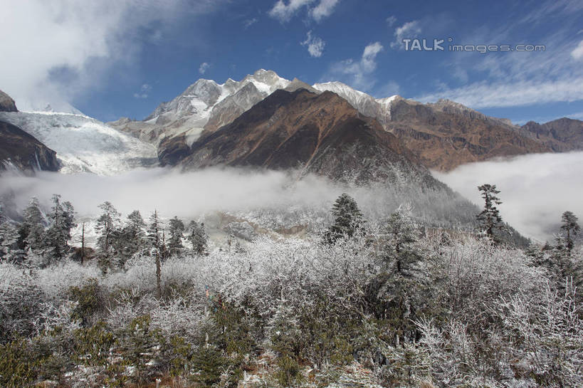 无人,横图,室外,白天,正面,旅游,度假,石头,美景,森林,山,树林,雪,雪山,植物,雾,大雪,贡嘎山,中国,亚洲,阴影,朦胧,模糊,光线,石子,影子,冰,积雪,景观,山顶,山峰,雪景,云,云朵,冬季,冬天,山峦,云彩,娱乐,树,树木,蓝色,绿色,白云,蓝天,天空,阳光,自然,天,享受,休闲,景色,放松,寒冷,四川省,生长,晴朗,成长,迷雾,冰冷,自然风光,东亚,沉积岩,四川,甘孜藏族自治州,中华人民共和国,西南地区,严寒,川,甘孜,甘孜州,冰凉,酷寒,凛冽,凛凛,极冷,保护区,颠峰,极峰,自然保护区,贡嘎山风景区,贡嘎山国家级自然保护区,贡嘎山自然保护区,水成岩,石块,岩石,大雾,晴空,彩图,shtjw1