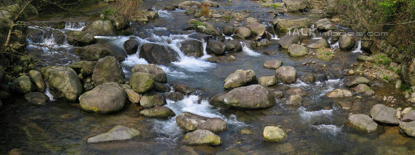 无人,横图,俯视,室外,白天,河流,石头,美景,水,阴影,光线,石子,影子,河水,景观,水流,青苔,苔藓,小溪,阳光,自然,溪水,景色,自然风光,石块,彩图,高角度拍摄,shtjw1
