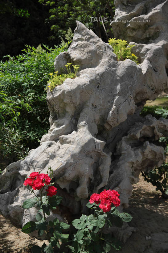 无人,竖图,室外,白天,正面,爱情,旅游,度假,幸福,纯洁,热情,花海,花圃,石头,美景,森林,山,树林,植物,玫瑰,叶子,阴影,艺术,盛开,光线,石子,影子,手工艺品,景观,山峰,玫瑰花,山峦,浪漫,花蕾,文化,娱乐,花,花瓣,花朵,花卉,鲜花,树,树木,红色,绿色,阳光,自然,工艺品,花丛,花束,花田,花苞,花蕊,享受,休闲,温暖,温馨,假山,景色,恩爱,放松,红玫瑰,生长,成长,和睦,高雅,自然风光,感动,自信心,品位,尊敬,天真,刺玫花,徘徊花,石块,岩石,彩图,融洽,小山,shtjw1