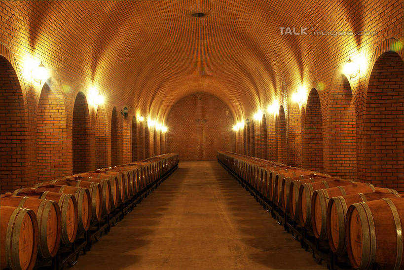 红酒,葡萄酒,无人,横图,室内,白天,正面,度假,美景,城市风光,城市,照明,中国,亚洲,一排,阴影,整齐,并列,并排,光线,壁灯,木桶,桶,影子,景观,拱门,灯光,酒类,娱乐,蓬莱,山东,烟台,君顶酒庄,酒窖,灯,酒,饮料,排列,容器,灯具,享受,休闲,红葡萄酒,景色,放松,储藏,照亮,照明设备,储存,队列,平行,东亚,山东省,中华人民共和国,华东地区,鲁,烟台市,彩图,中粮南王山谷君顶酒庄,中粮君顶酒庄,蓬莱市,酒库,贮存,shwf1