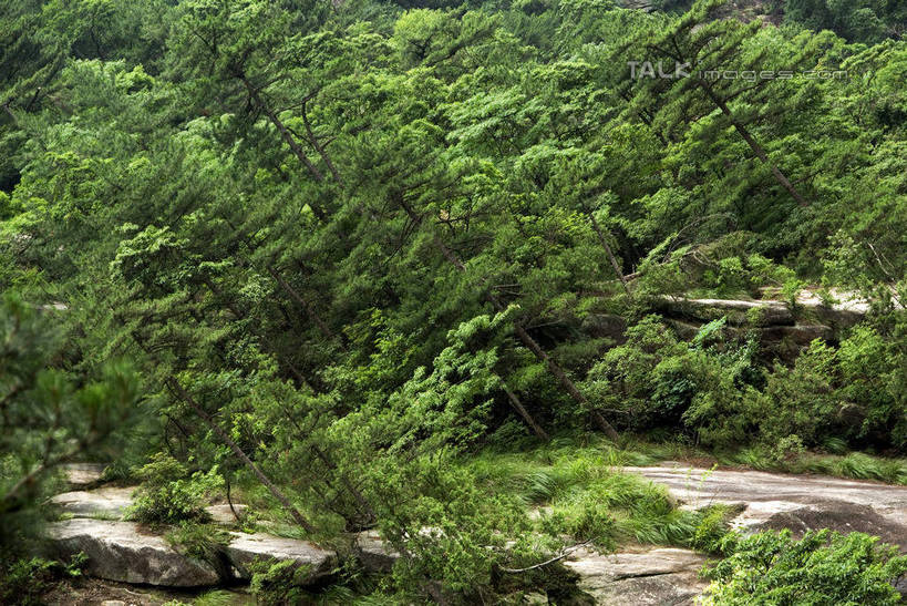 无人,横图,室外,白天,正面,旅游,度假,河流,石头,美景,树林,水,植物,中国,亚洲,石子,河水,景观,水流,娱乐,大明山,临安,浙江,树,树木,浙江省,绿色,自然,享受,休闲,景色,放松,生长,成长,杭州,自然风光,东亚,杭州市,中华人民共和国,华东地区,省会,浙,石块,岩石,彩图,临安市,大明山景区,大明山风景名胜区,shwf1