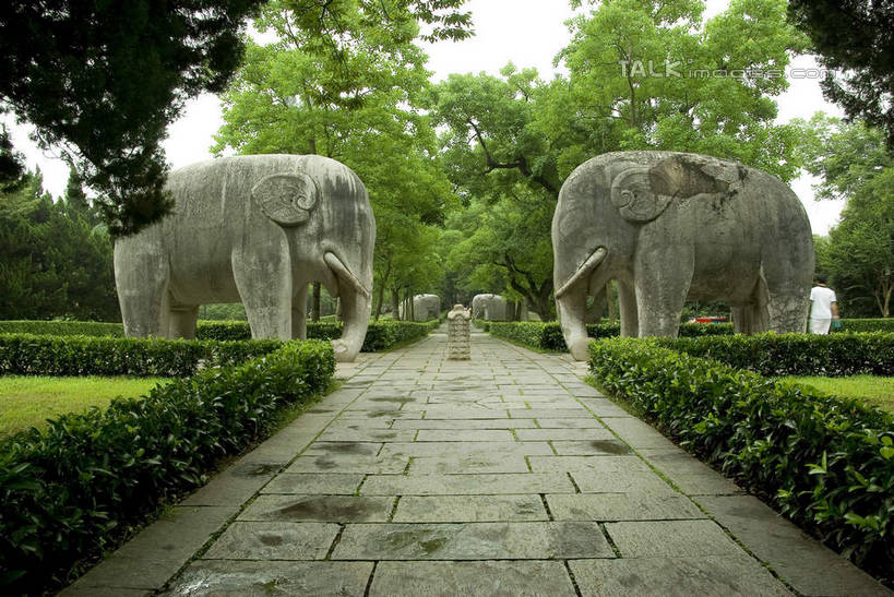 无人,站,横图,室外,白天,侧面,旅游,度假,名胜古迹,植物,标志建筑,道路,地标,建筑,路,哺乳动物,大象,野生动物,雕塑,南京,中国,亚洲,环保,遗迹,艺术,装饰,雕刻,雕像,小路,防护,交通,古迹,文物,娱乐,建设,古建筑,江苏,相视,树,树木,绿色,自然,动物,工艺品,站着,两只,享受,休闲,墓地,面对面,旅游胜地,放松,生长,成长,对视,明孝陵,华丽,修饰,美术,点缀,坟墓,陵墓,互视,美好,美妙,间隔,相对,坟场,古文明,东亚,江苏省,南京市,相看,中华人民共和国,华东地区,苏,省会,美学,衬托,美观,雅致,雅观,玄武,绿篱,生篱,树篱,植篱,石头城,象,站立,彩图,全身,玄武区,孝陵,食雕,食品雕刻,食物雕刻,shwf1