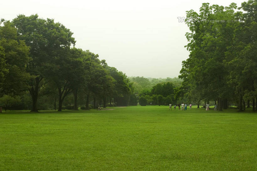 无人,横图,室外,白天,正面,旅游,度假,草地,草坪,名胜古迹,树林,植物,标志建筑,地标,建筑,南京,中国,亚洲,遗迹,古迹,文物,娱乐,建设,古建筑,江苏,草,树,树木,蓝色,绿色,蓝天,天空,自然,天,享受,休闲,墓地,旅游胜地,放松,生长,晴朗,成长,明孝陵,坟墓,陵墓,坟场,古文明,东亚,江苏省,南京市,万里无云,中华人民共和国,华东地区,苏,省会,玄武,石头城,晴空,晴空万里,彩图,玄武区,孝陵,shwf1