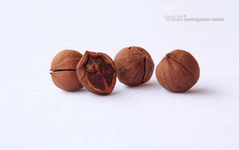 无人,横图,俯视,室内,特写,白天,白色背景,桌面,桌子,一排,阴影,整齐,光线,影子,灯光,核桃,坚果,褐色,果实,四颗,排列,干果,四个,剥开,摄影,影棚,队列,横截面,剖面,小核桃,山核桃,胡桃,羌桃,彩图,高角度拍摄,影棚拍摄,拍摄,shwf1