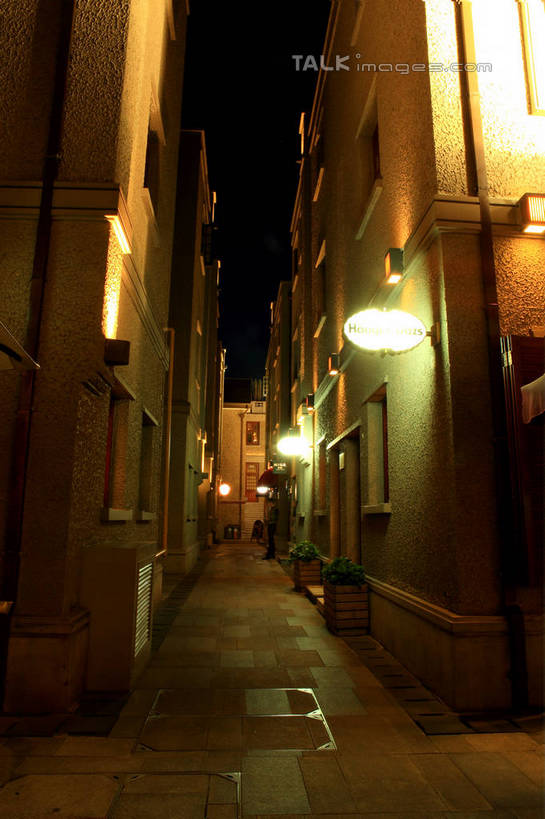 无人,家,竖图,室外,夜晚,正面,度假,美景,植物,别墅,窗户,门,城市风光,标志建筑,城市,道路,地标,路,路灯,夜景,公路,照明,上海,中国,亚洲,阴影,光线,影子,房屋,屋子,景观,公寓,灯光,地面,交通,娱乐,洋房,楼房,玻璃窗,住宅,灯,树,树木,绿色,天空,自然,门框,天,享受,休闲,景色,放松,生长,成长,照亮,申,照明设备,黄浦区,东亚,思南公馆,思南路,上海市,中华人民共和国,沪,华东地区,马路,彩图,房子,shwf1