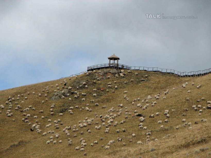 无人,家,木屋,横图,室外,白天,正面,旅游,度假,草地,草原,美景,山,山脉,植物,中国,亚洲,阴影,光线,影子,景观,旷野,山峰,云,云朵,山峦,云彩,娱乐,住宅,草,蓝色,绿色,白云,蓝天,天空,阳光,自然,群山,天,享受,休闲,景色,放松,北川县,四川省,晴朗,自然风光,原野,东亚,四川,中华人民共和国,西南地区,川,绵阳,绵阳市,晴空,彩图,茅舍,茅屋,棚屋,小木屋,小屋,北川羌族自治县,shwf1