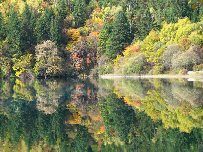 无人,横图,室外,白天,正面,旅游,度假,湖,湖泊,美景,森林,树林,水,植物,中国,亚洲,湖面,景观,水流,水面,娱乐,树,树木,绿色,倒影,自然,湖水,享受,休闲,景色,放松,北川县,四川省,生长,成长,倒映,自然风光,东亚,四川,中华人民共和国,西南地区,川,绵阳,绵阳市,反照,彩图,北川羌族自治县,shwf1
