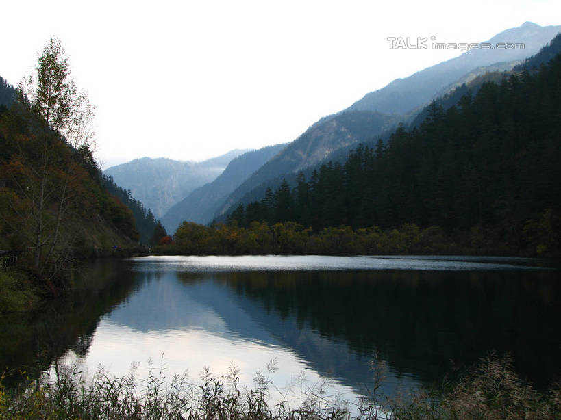 无人,横图,室外,白天,正面,旅游,度假,河流,美景,森林,山,山脉,树林,水,植物,中国,亚洲,阴影,光线,影子,河水,景观,山峰,水流,山峦,背光,娱乐,树,树木,蓝色,绿色,倒影,蓝天,天空,阳光,自然,群山,天,享受,休闲,景色,放松,北川县,四川省,生长,晴朗,成长,倒映,自然风光,逆光,东亚,四川,万里无云,中华人民共和国,西南地区,川,绵阳,绵阳市,反照,晴空,晴空万里,彩图,北川羌族自治县,shwf1