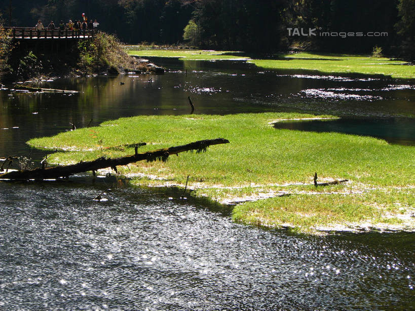 无人,横图,室外,白天,正面,旅游,度假,草地,草原,河流,美景,树林,水,植物,中国,亚洲,阴影,光线,影子,河水,景观,旷野,水流,娱乐,草,树,树木,绿色,阳光,自然,享受,休闲,景色,放松,北川县,四川省,生长,成长,自然风光,原野,东亚,四川,中华人民共和国,西南地区,川,绵阳,绵阳市,彩图,北川羌族自治县,shwf1