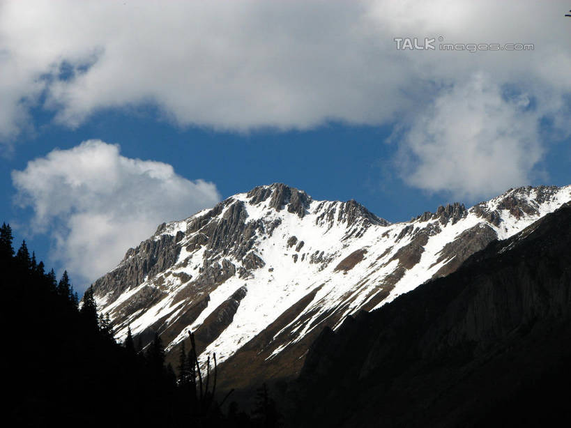 无人,横图,室外,白天,仰视,旅游,度假,石头,美景,森林,山,山脉,树林,峡谷,雪,雪山,植物,大雪,中国,亚洲,阴影,光线,纹路,石子,纹理,影子,冰,积雪,景观,山峰,雪景,云,云朵,冬季,冬天,山谷,山峦,云彩,娱乐,树,树木,蓝色,绿色,白云,蓝天,天空,阳光,自然,群山,天,享受,休闲,景色,放松,寒冷,北川县,四川省,生长,晴朗,成长,连绵,冰冷,绵延,岩层,自然风光,山岭,东亚,四川,肌理,中华人民共和国,西南地区,严寒,川,冰凉,酷寒,凛冽,凛凛,极冷,绵阳,绵阳市,联贯,石块,岩石,晴空,彩图,低角度拍摄,北川羌族自治县,shwf1