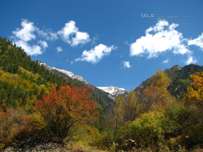 无人,横图,室外,白天,仰视,旅游,度假,美景,森林,山,山脉,树林,植物,中国,亚洲,阴影,光线,影子,景观,山峰,云,云朵,山峦,云彩,娱乐,树,树木,蓝色,绿色,白云,蓝天,天空,阳光,自然,群山,天,享受,休闲,景色,放松,北川县,四川省,生长,晴朗,成长,自然风光,东亚,四川,中华人民共和国,西南地区,川,绵阳,绵阳市,晴空,彩图,低角度拍摄,北川羌族自治县,shwf1