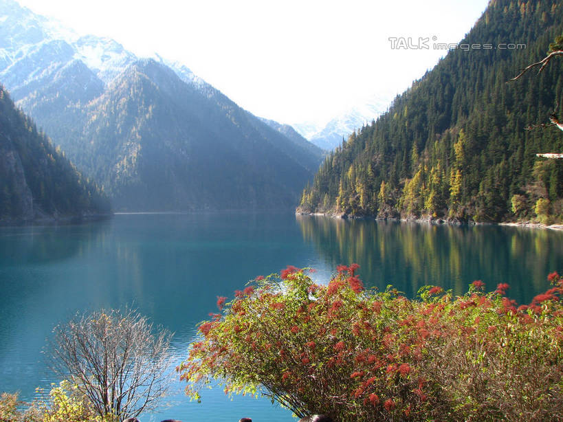 无人,横图,室外,白天,正面,旅游,度假,河流,美景,森林,山,山脉,树林,水,植物,中国,亚洲,阴影,光线,影子,河水,景观,山峰,水流,云,云朵,山峦,云彩,娱乐,树,树木,蓝色,绿色,白云,蓝天,天空,阳光,自然,群山,天,享受,休闲,景色,放松,北川县,四川省,生长,晴朗,成长,自然风光,东亚,四川,中华人民共和国,西南地区,川,绵阳,绵阳市,晴空,彩图,北川羌族自治县,shwf1