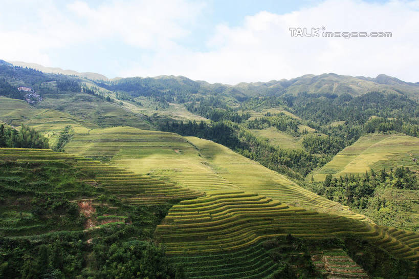 无人,农田,横图,俯视,室外,白天,旅游,度假,庄稼,梯田,农作物,石头,美景,山,山脉,树林,峡谷,植物,中国,亚洲,阴影,曲折,弯曲,光线,纹路,石子,纹理,影子,景观,山峰,云,云朵,山谷,山峦,云彩,娱乐,树,树木,蓝色,绿色,白云,蓝天,天空,阳光,自然,群山,天,享受,休闲,景色,放松,蜿蜒,生长,晴朗,成长,广西,连绵,绵延,岩层,自然风光,山岭,东亚,龙胜,广西壮族自治区,肌理,中华人民共和国,桂,华南地区,联贯,龙胜各族自治县,金坑梯田,石块,岩石,晴空,彩图,高角度拍摄,耕地,庄稼田,shwf1